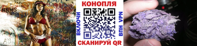 Конопля White Widow  Староминская 